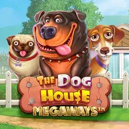 The Dog House Megaways gra w BDMbet Casino dla graczy z Polski The Dog House Megaways gra w BDMbet Casino dla graczy z Polski