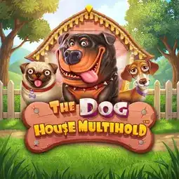 The Dog House Multihold gra w BDMbet Casino dla graczy z Polski The Dog House Multihold gra w BDMbet Casino dla graczy z Polski